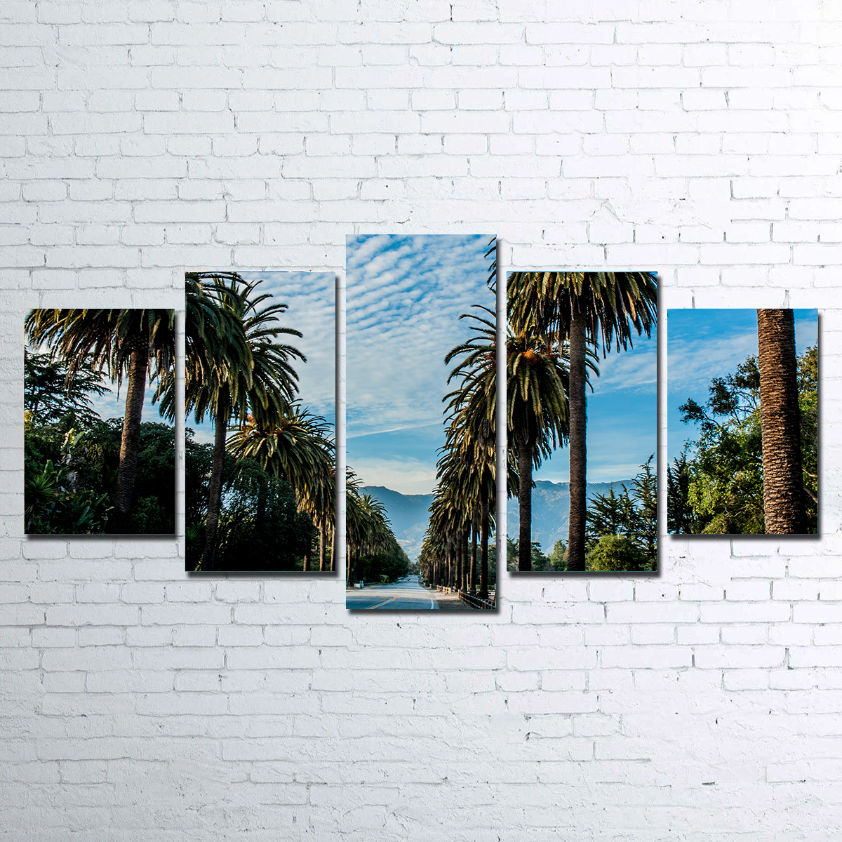 Hope Ranch Palm Drive Exquisite Wall Art by Kyle Sherry