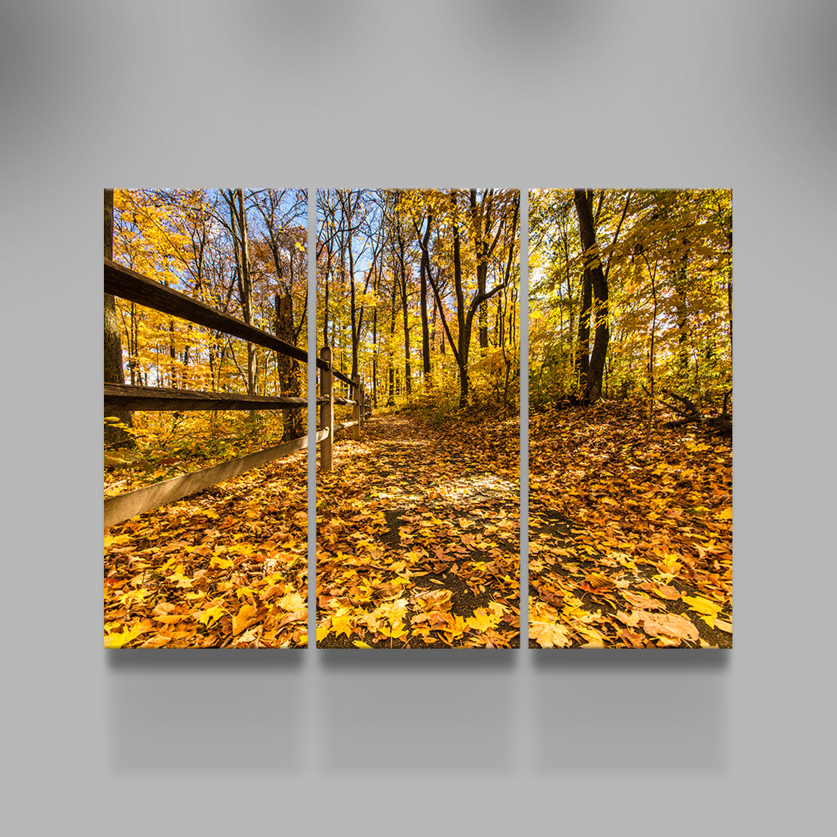Breathtaking Caesar Creek State Park Fall Foliage Wall Art for Stunning Home Decor