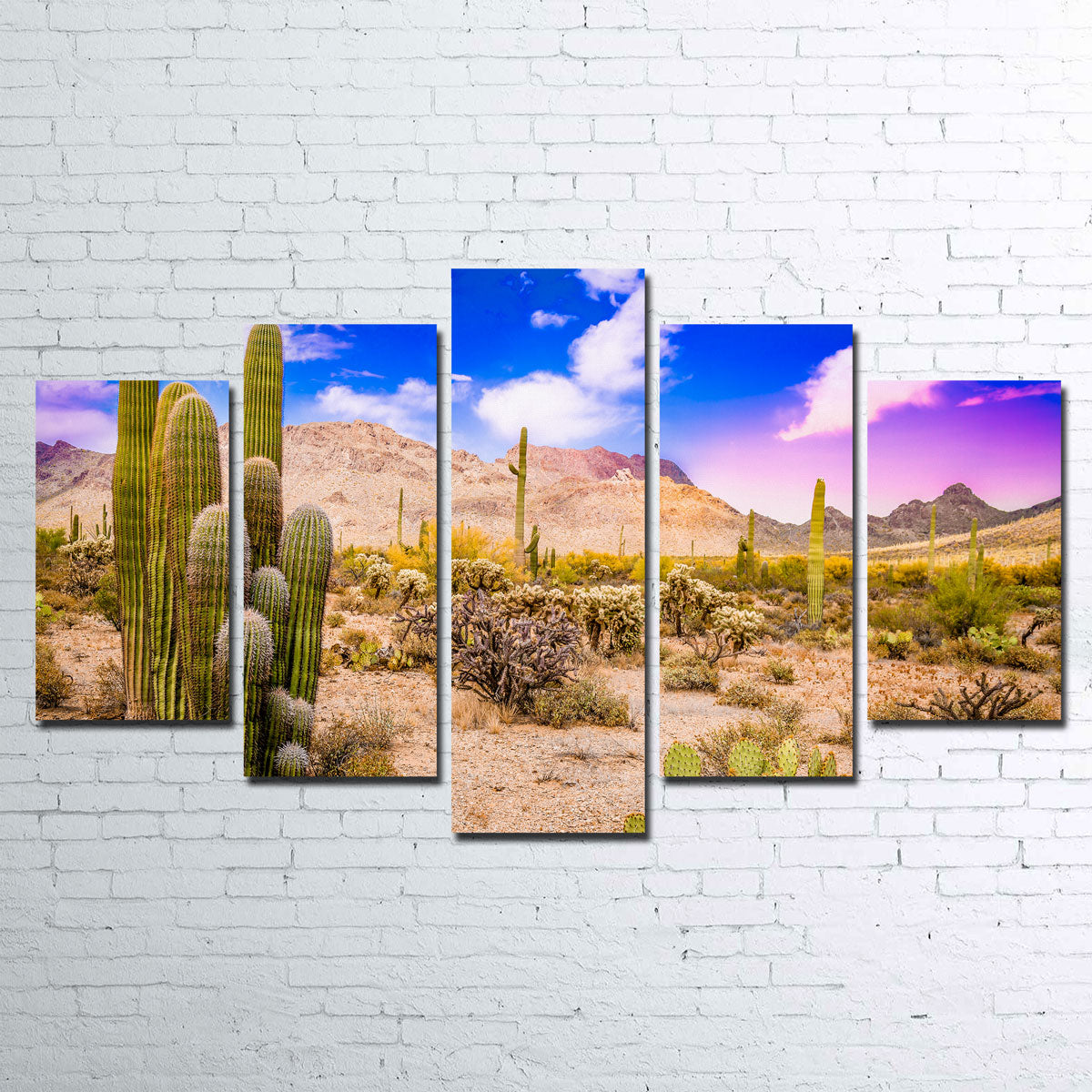 Gorgeous Arizona Desert Springtime Wall Art for Stunning Home Decor