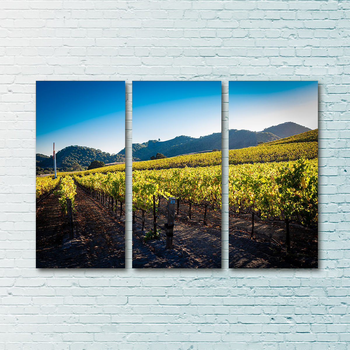 Stunning Central California Vineyard Wall Art for Your Home Decor