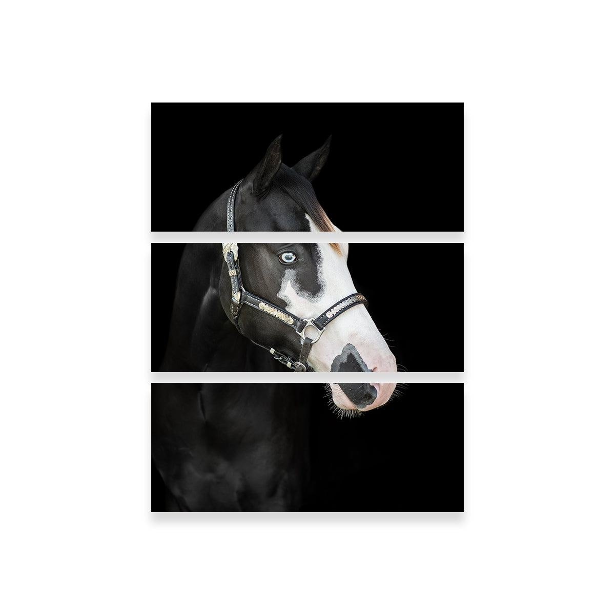 Stunning American Paint Horse Wall Art for Your Home Decor