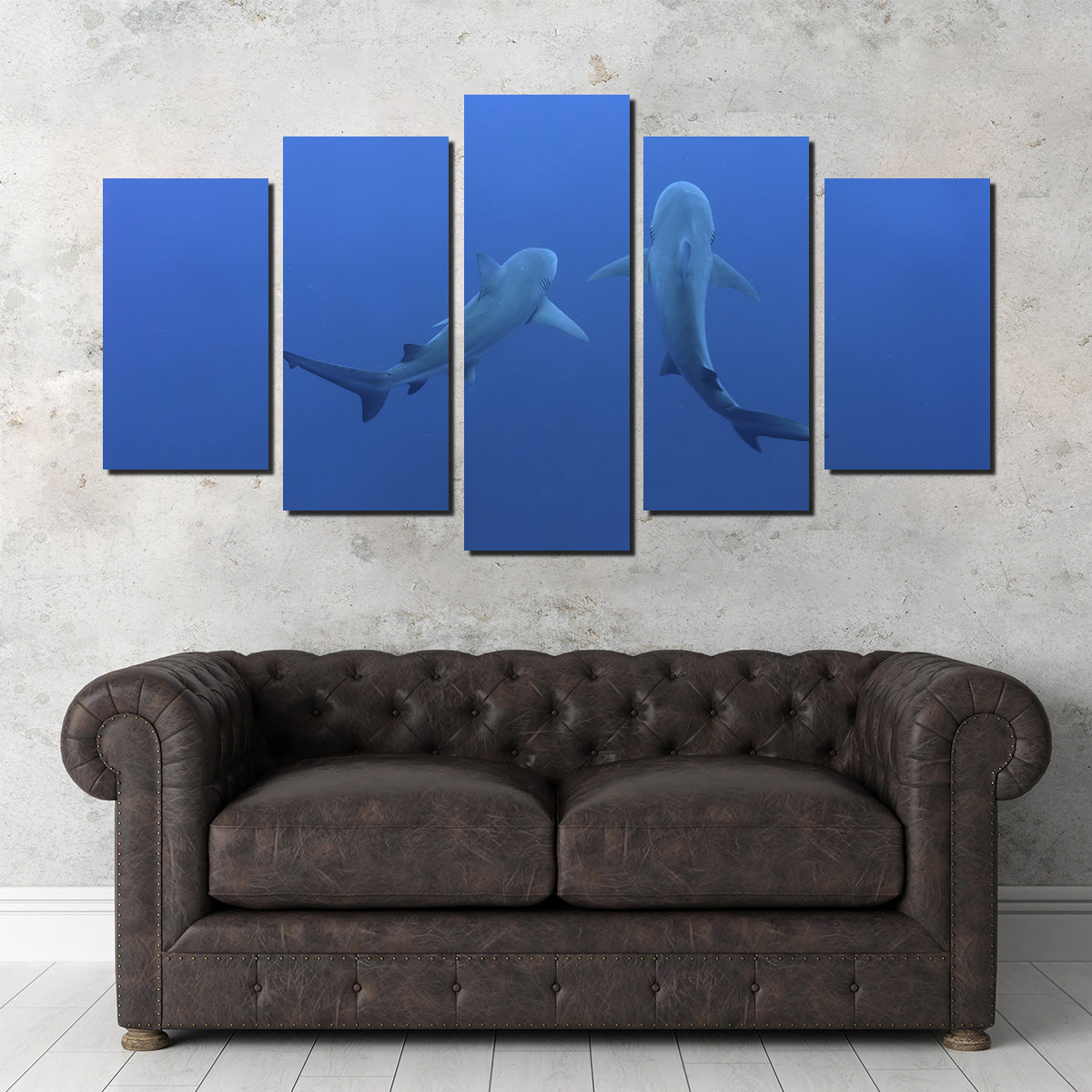 Stunning Shark Mates Wall Art - Museum Quality Decor