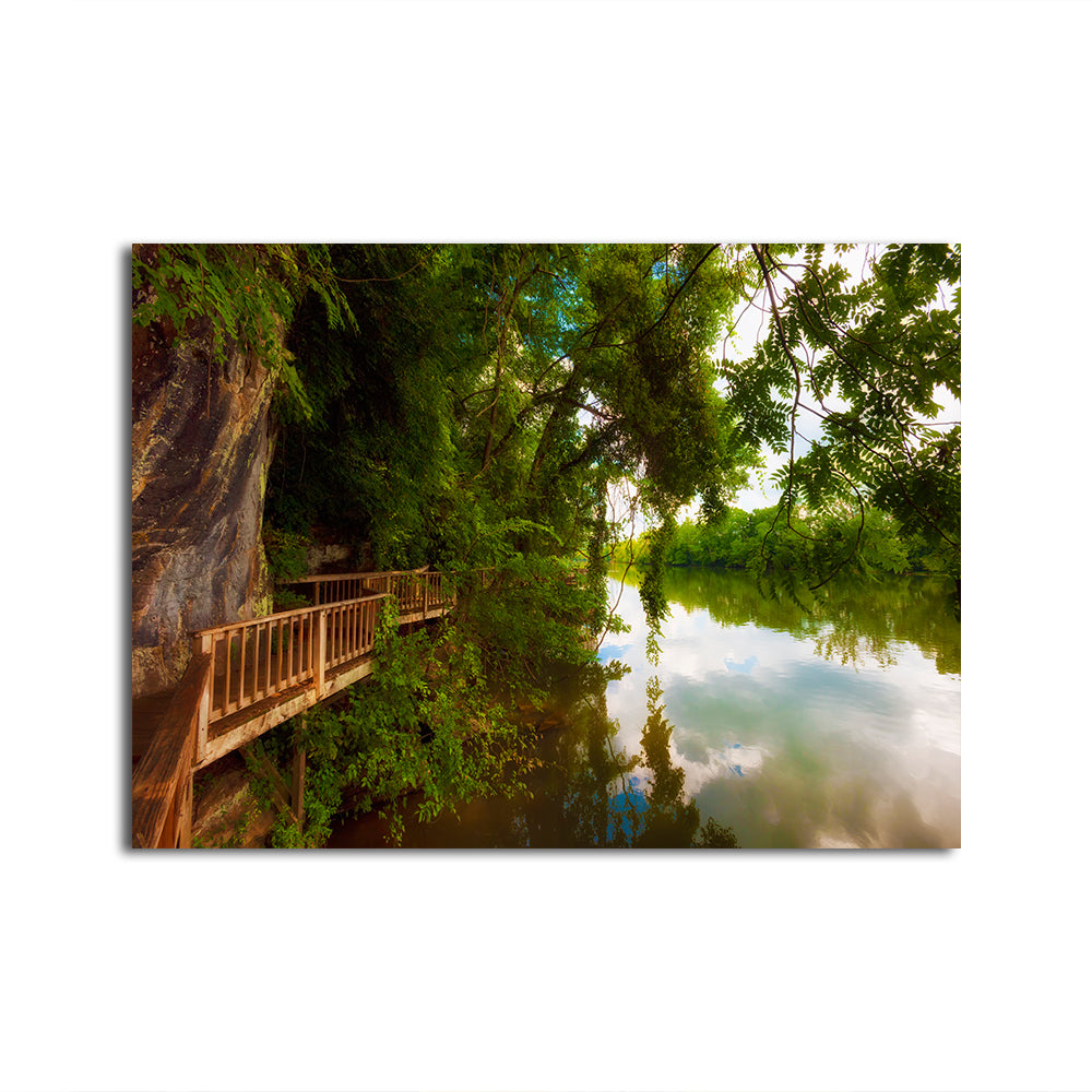 Stunning Ijam Nature Park Boardwalk Wall Art for Home Decor