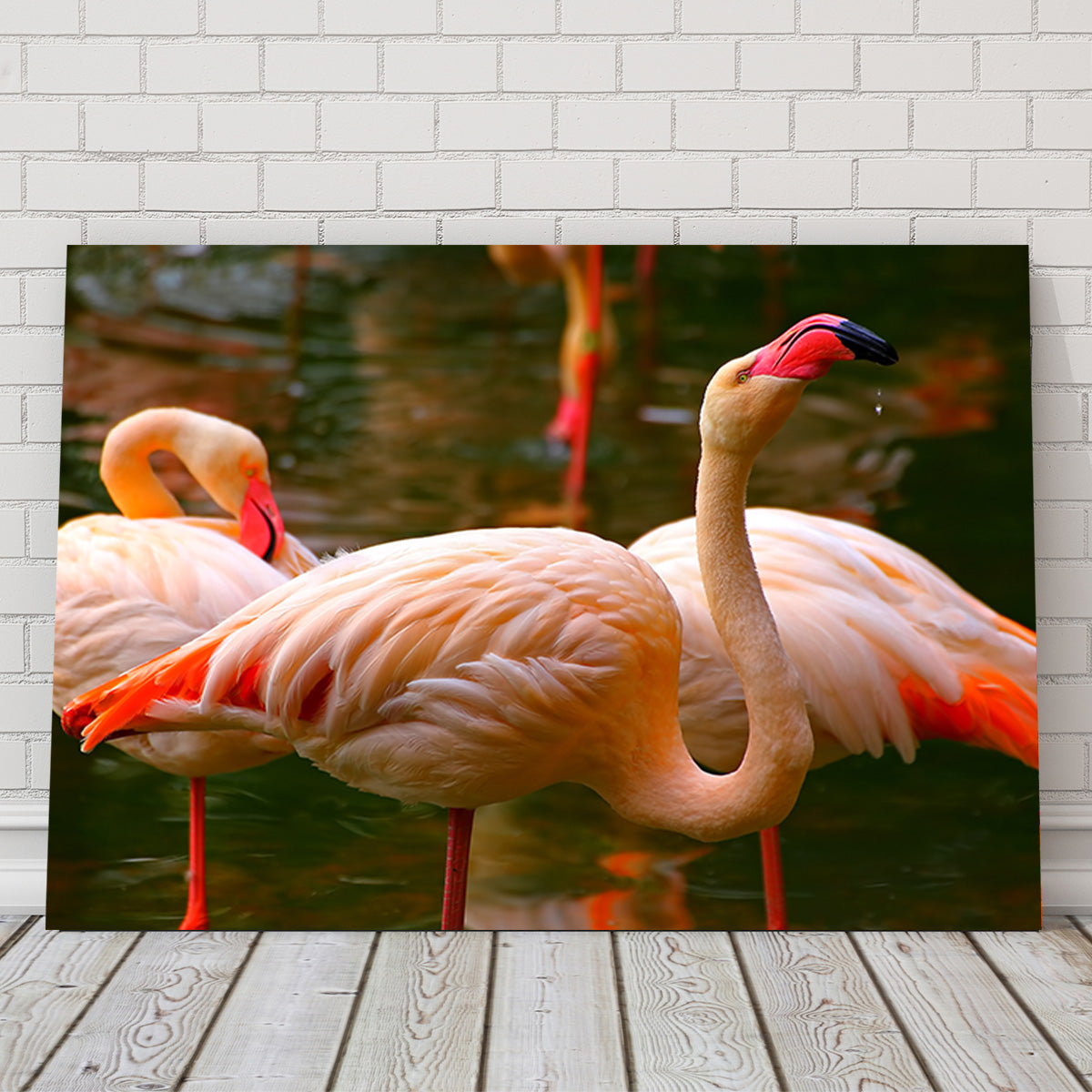 Stunning Pink Flamingo Birds Wall Art for Your Home Decor