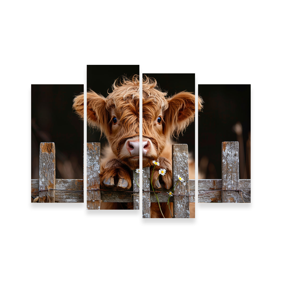 Gorgeous Highland Baby Calf Wall Art for Stunning Home Decor