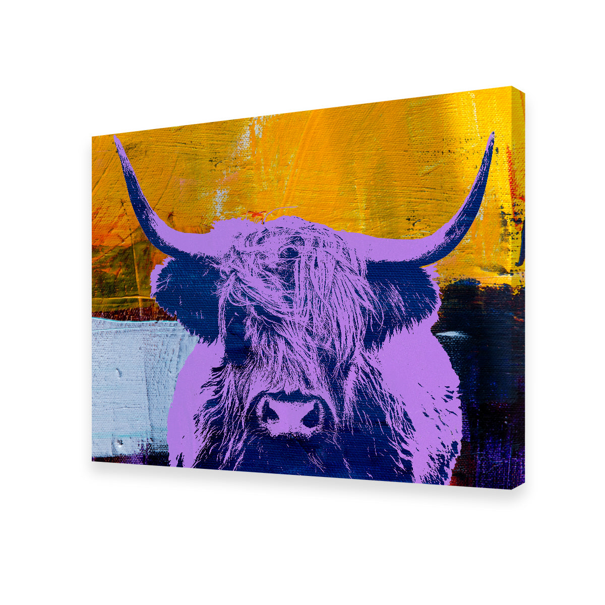 Gorgeous Highland Cow Wall Art by Stephen Chambers