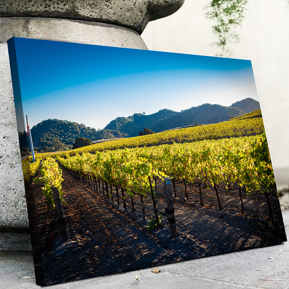 Stunning Central California Vineyard Wall Art for Your Home Decor