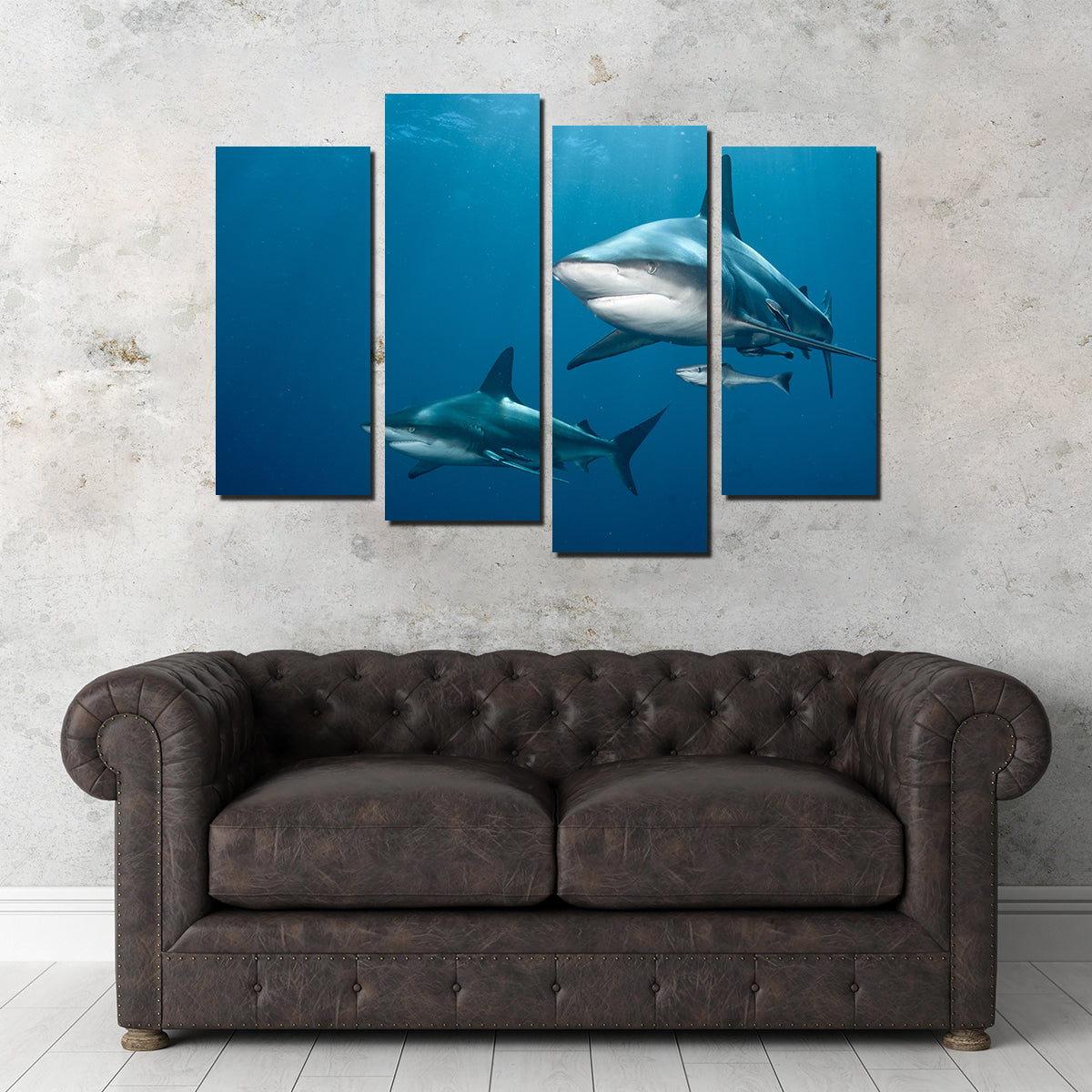 Exquisite Shark Pair Wall Art for Stunning Home Decor
