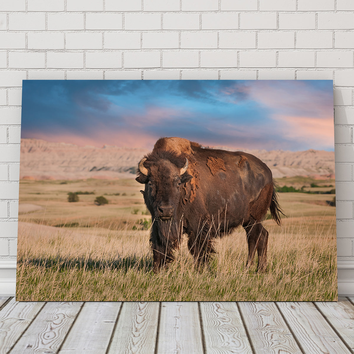 Stunning Badlands Bison Bull Wall Art for Striking Home Decor
