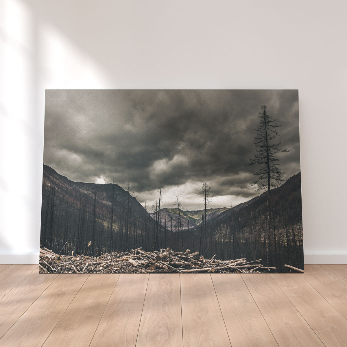 Stunning Ash and Clouds Wall Art by Mike Cotton