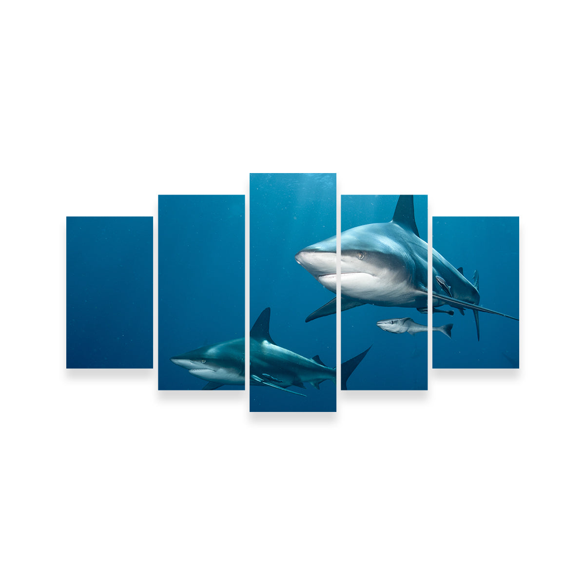 Exquisite Shark Pair Wall Art for Stunning Home Decor