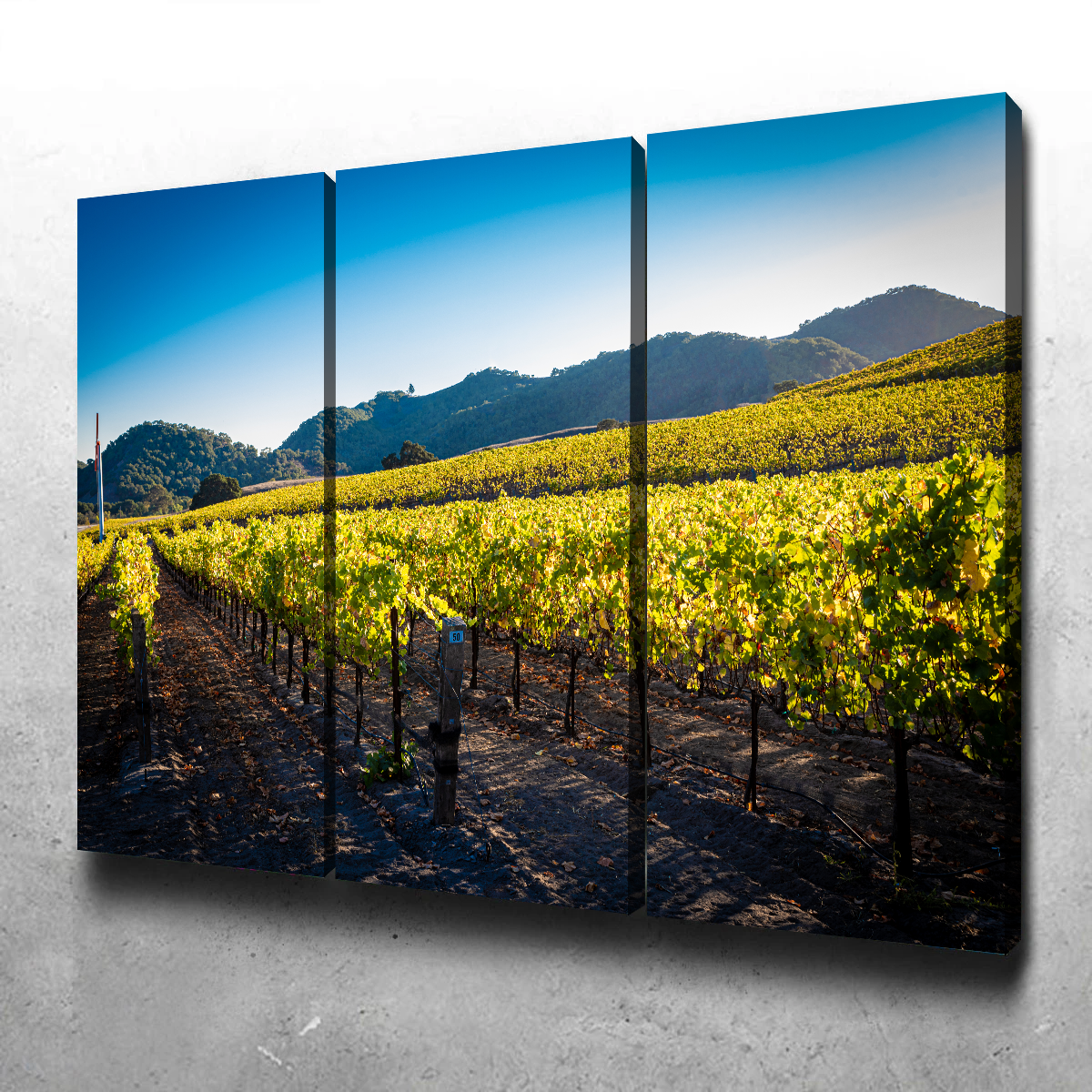 Stunning Central California Vineyard Wall Art for Your Home Decor