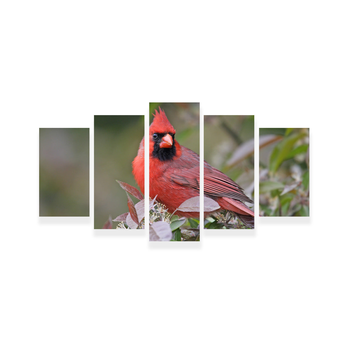 Exquisite Cardinal Perched Wall Art for Home Decor