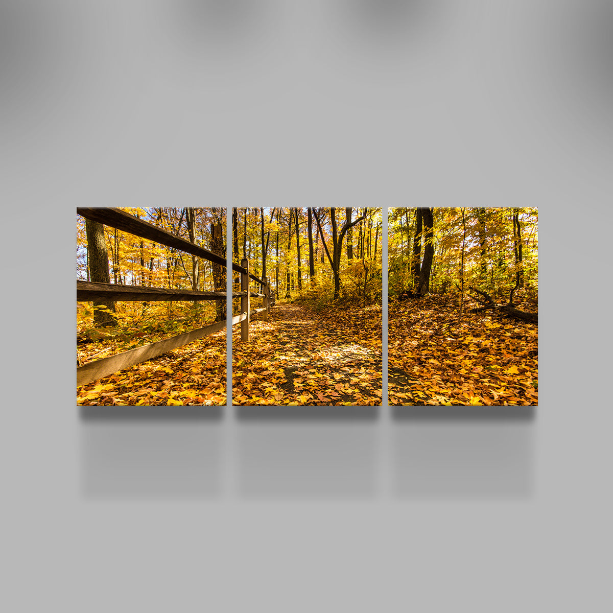 Breathtaking Caesar Creek State Park Fall Foliage Wall Art for Stunning Home Decor