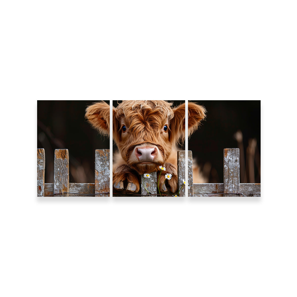 Gorgeous Highland Baby Calf Wall Art for Stunning Home Decor