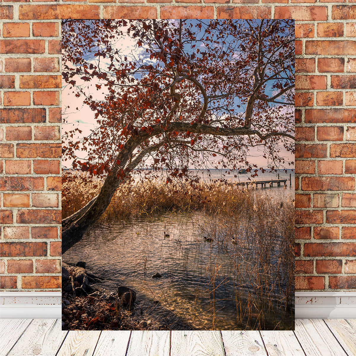 Stunning Autumn Wall Art by Stefano Baltieri