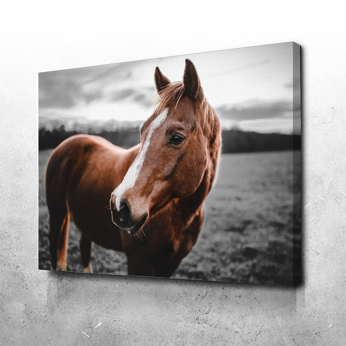 Exquisite Shining Horse Wall Art by Lucas Moore