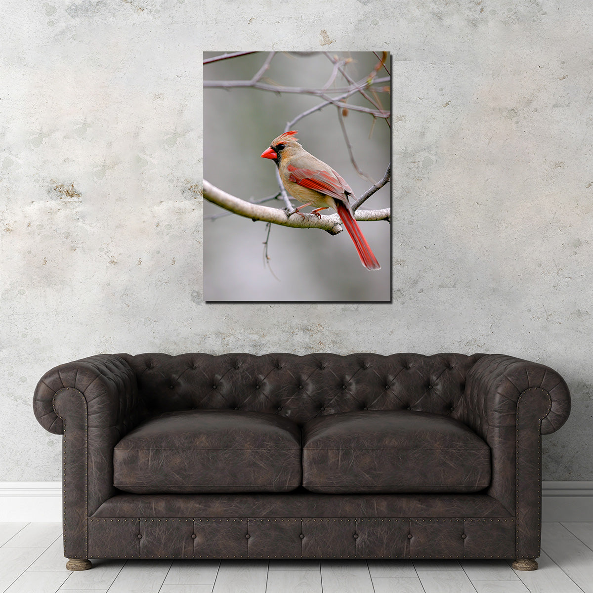 Exquisite Northern Cardinal Female Wall Art for Home Decor