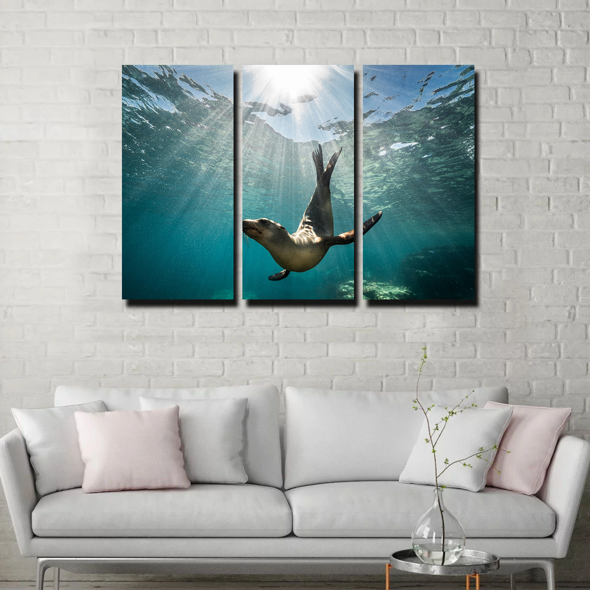 Stunning California Sea Lion Wall Art for Your Home Decor