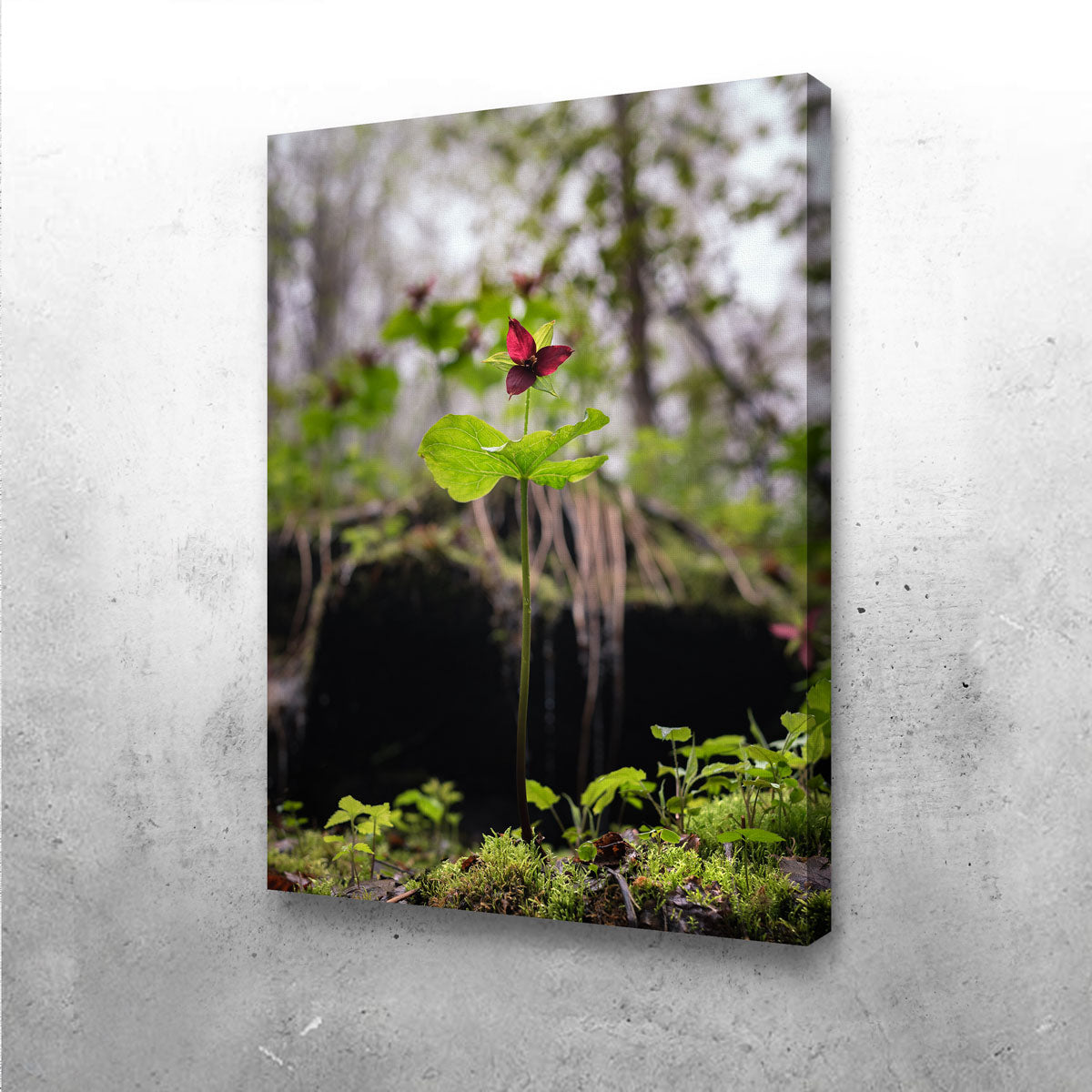 Exquisite Simple Scene Wall Art by Shaun Mayer