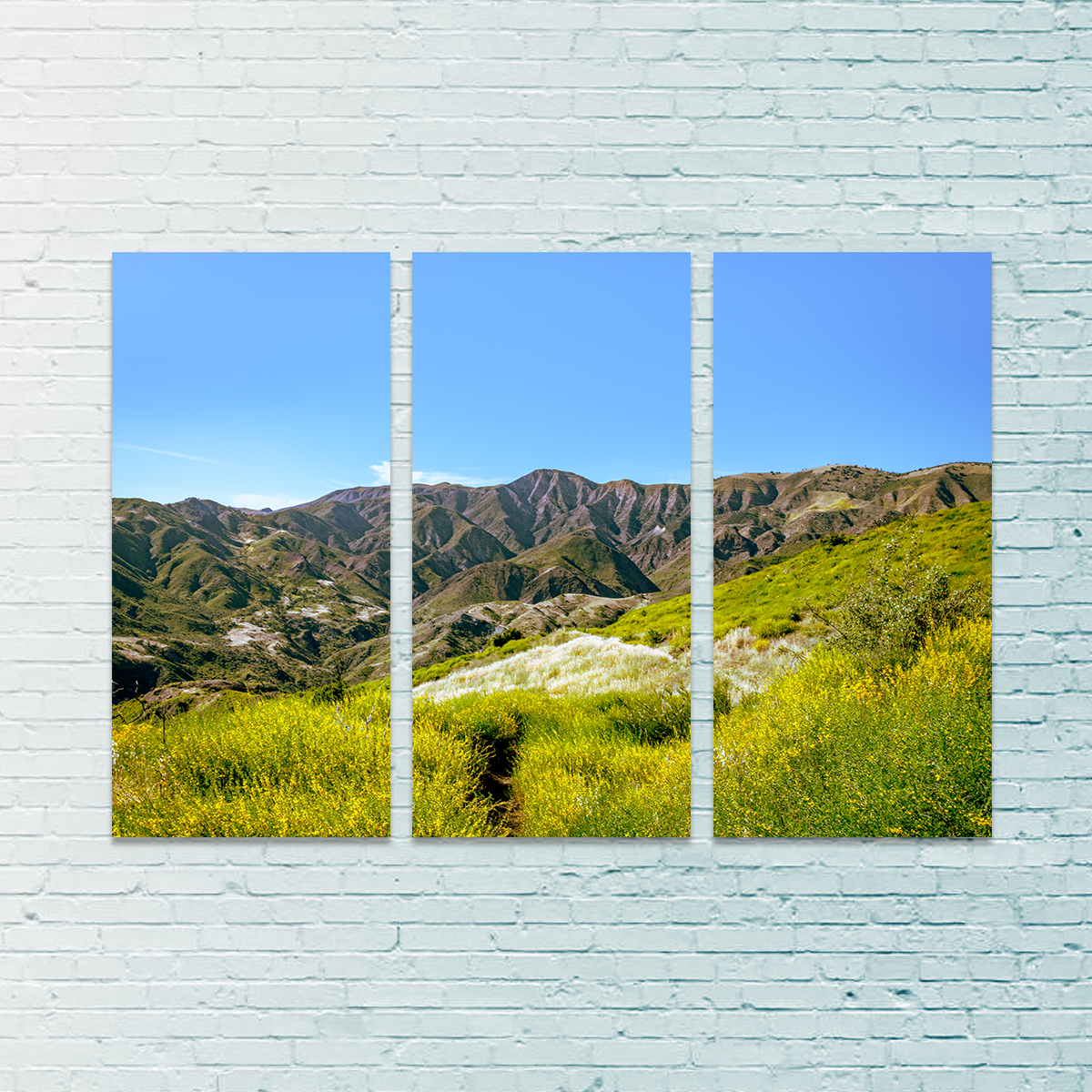 Stunning Alexander Peak Wall Art by Kyle Sherry