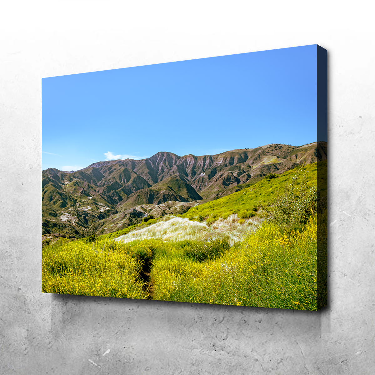 Stunning Alexander Peak Wall Art by Kyle Sherry