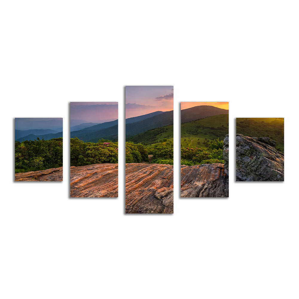 Stunning Appalachian Trail Roan Mountain State Park Wall Art for Your Home Decor