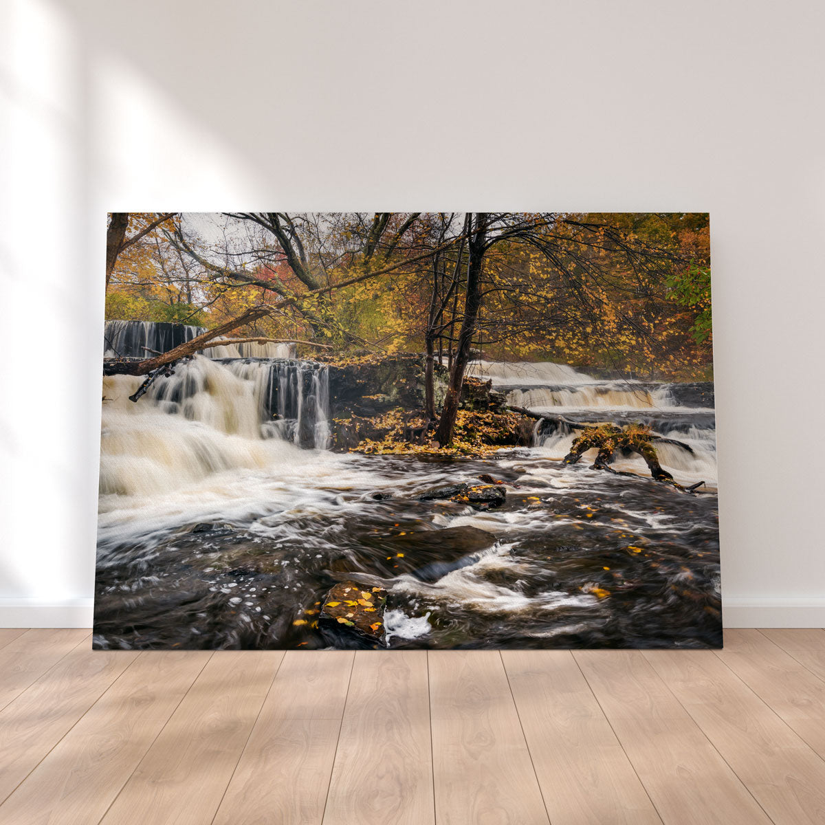 Eye - Catching Double Wall Art by Shaun Mayer
