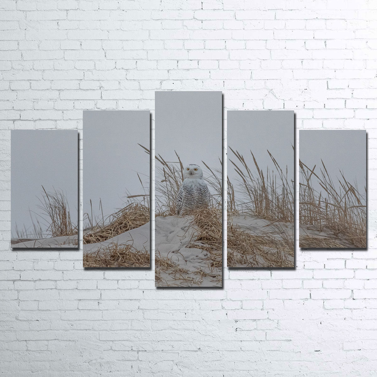 Exquisite Snowy Owl Wall Art by Dennis Maida