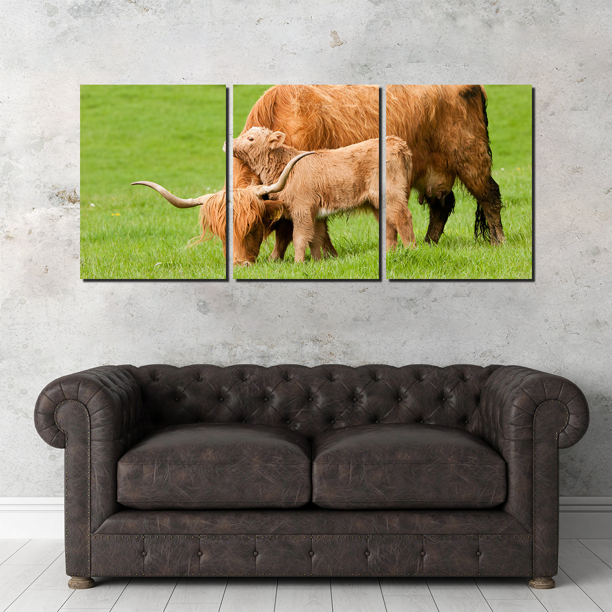 Charming Highland Cow with Adorable Loving Calf Wall Art for Stunning Home Decor