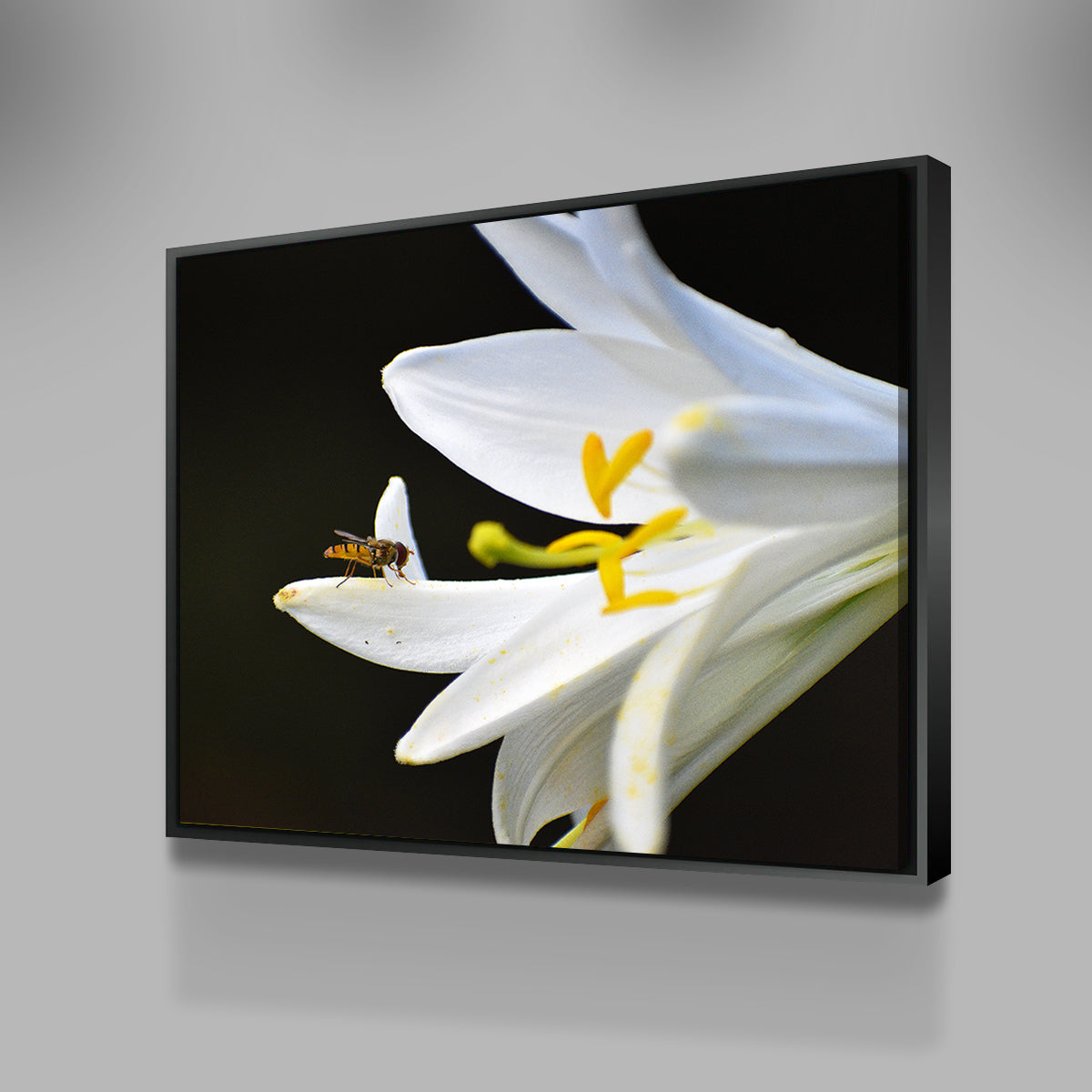 Exquisite Pollen Wall Art by George Sorin