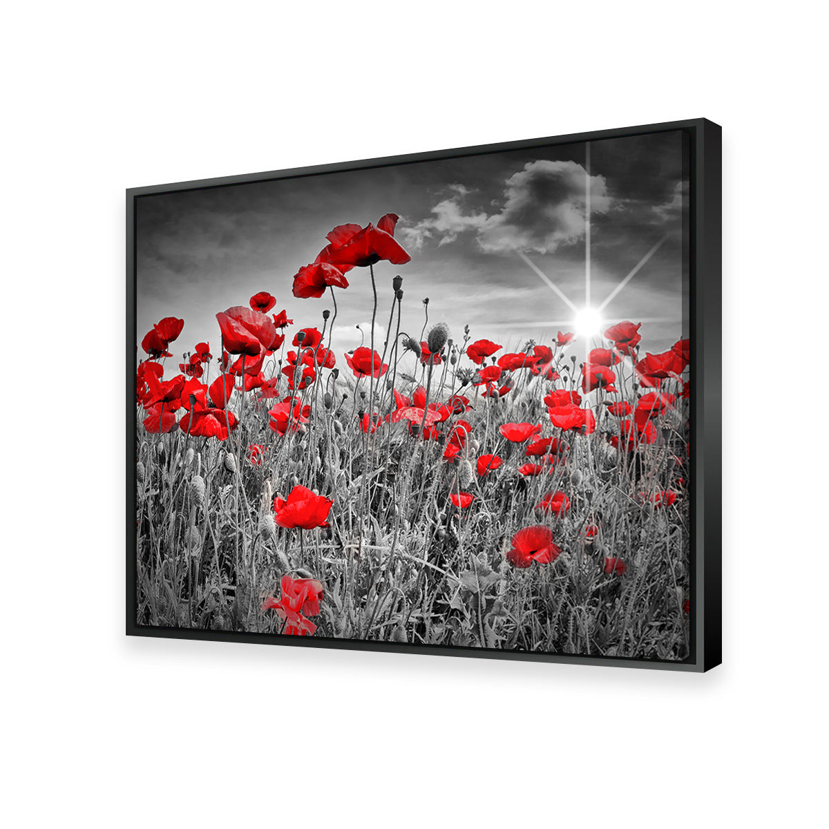 Stunning Idyllic Field of Poppies with Sun Wall Art for Home Decor