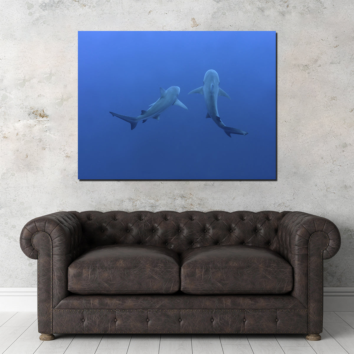 Stunning Shark Mates Wall Art - Museum Quality Decor