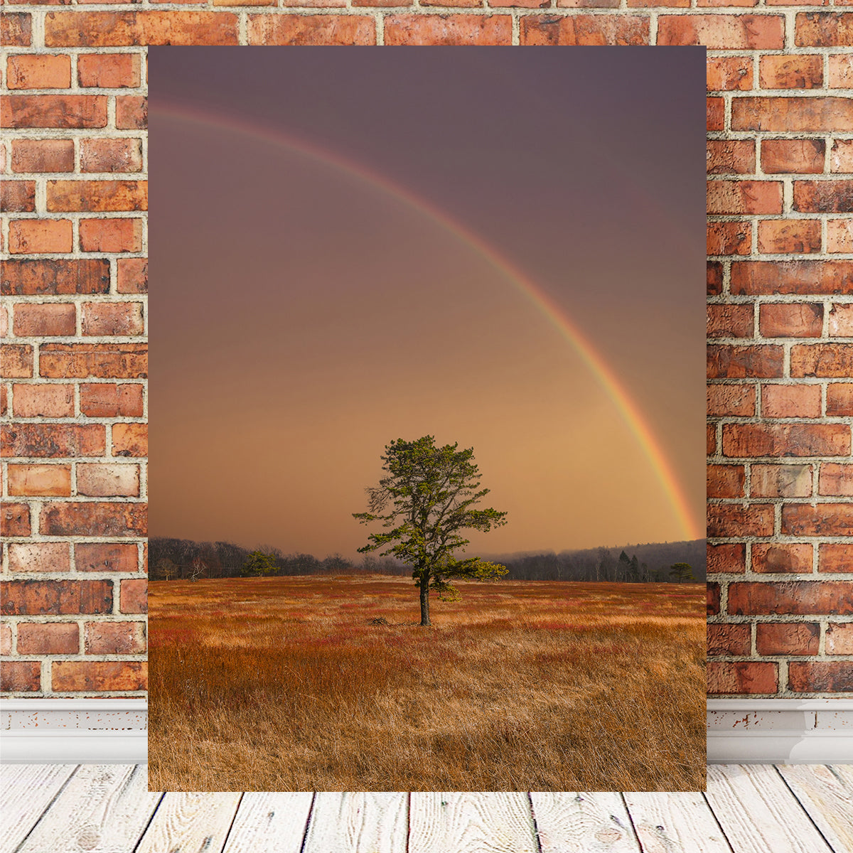 Stunning Big Meadows Wall Art by Dennis Maida