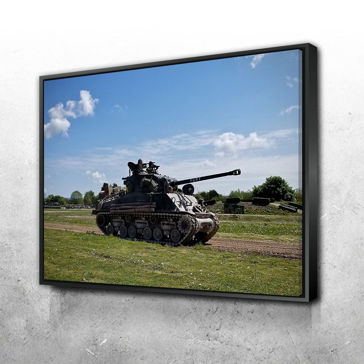 Sherman Fury Stunning Wall Art by David Campbell