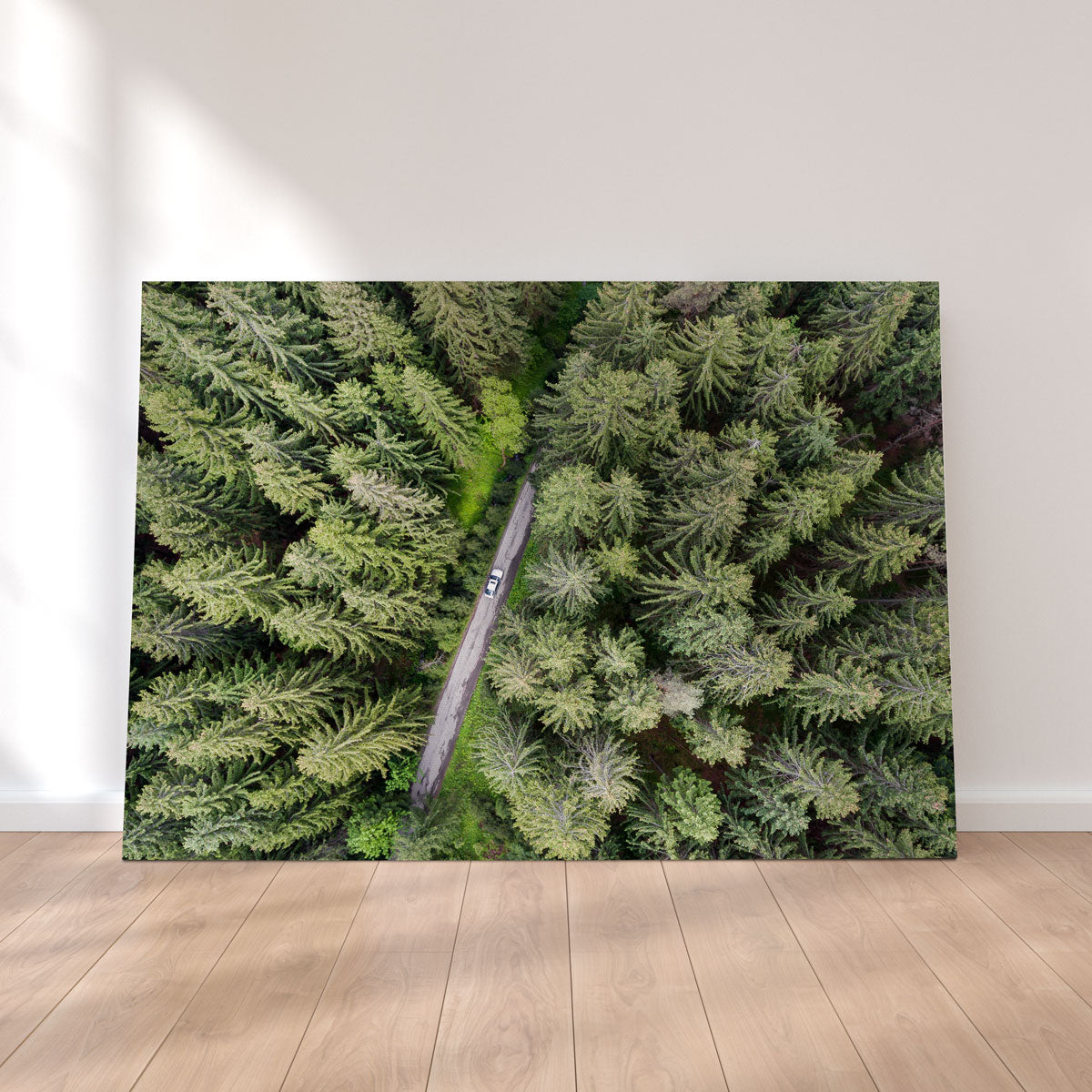 Stunning Hidden Road Wall Art by Karolis Janulis