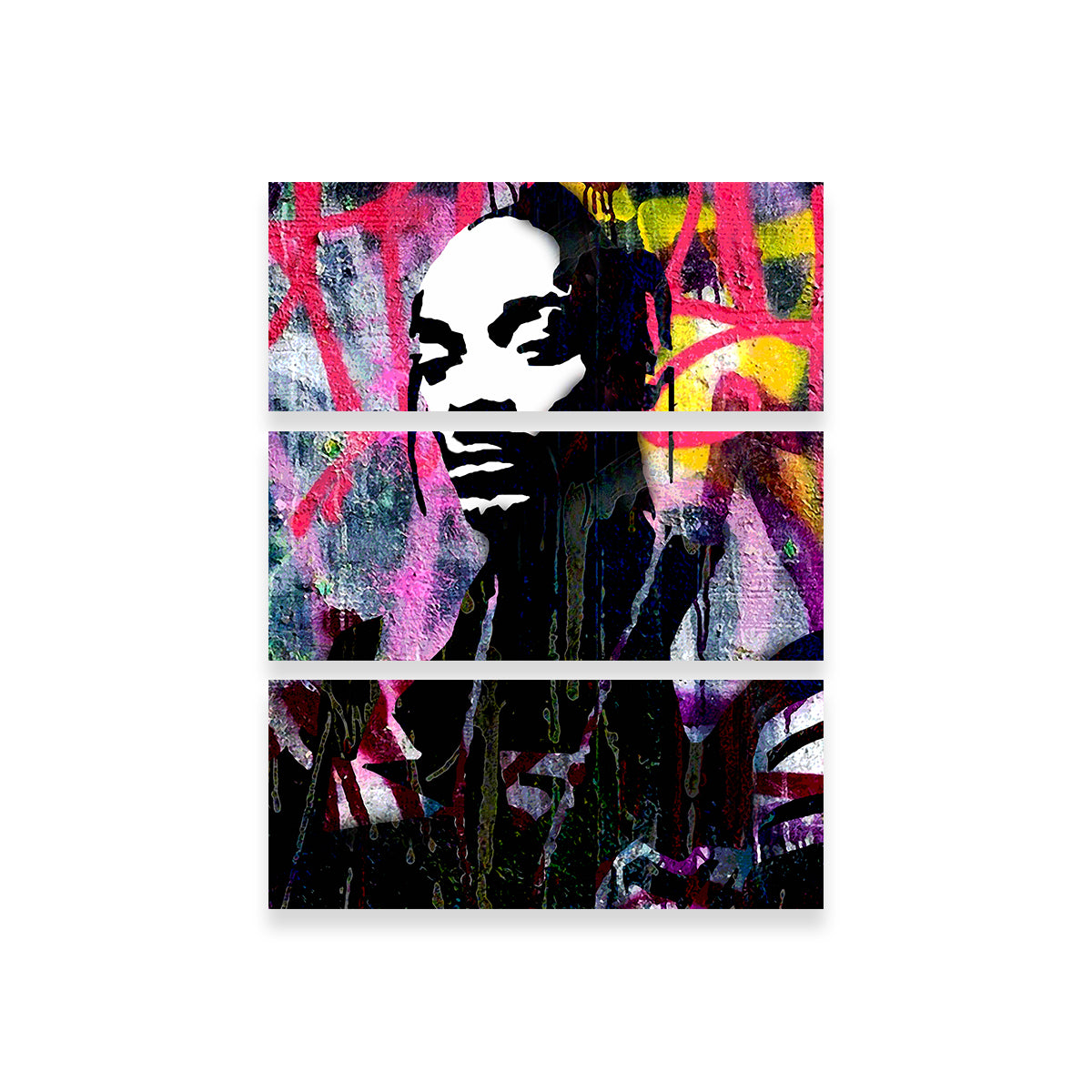 Unique Snoop Rap Wall Art by Stephen Chambers