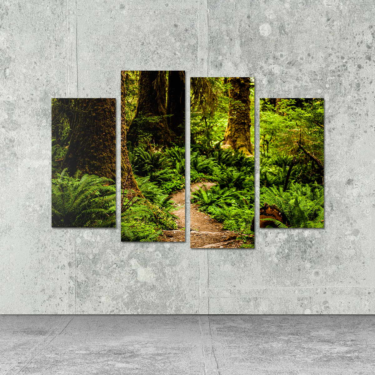 Stunning Hoh Rainforest Wall Art by Kyle Sherry
