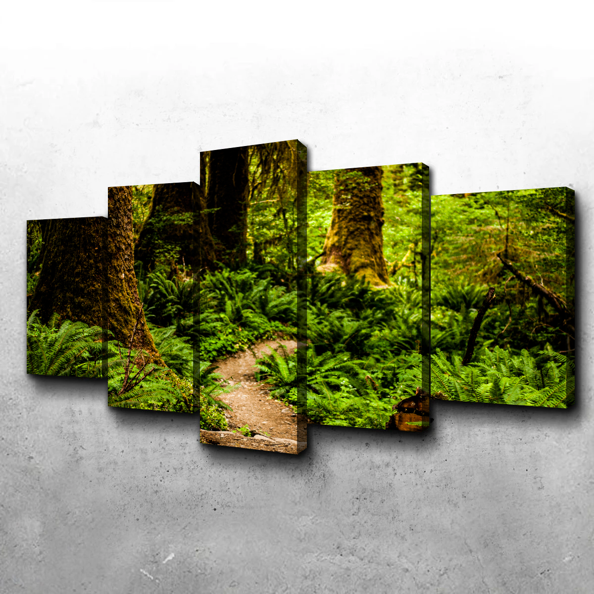 Stunning Hoh Rainforest Wall Art by Kyle Sherry