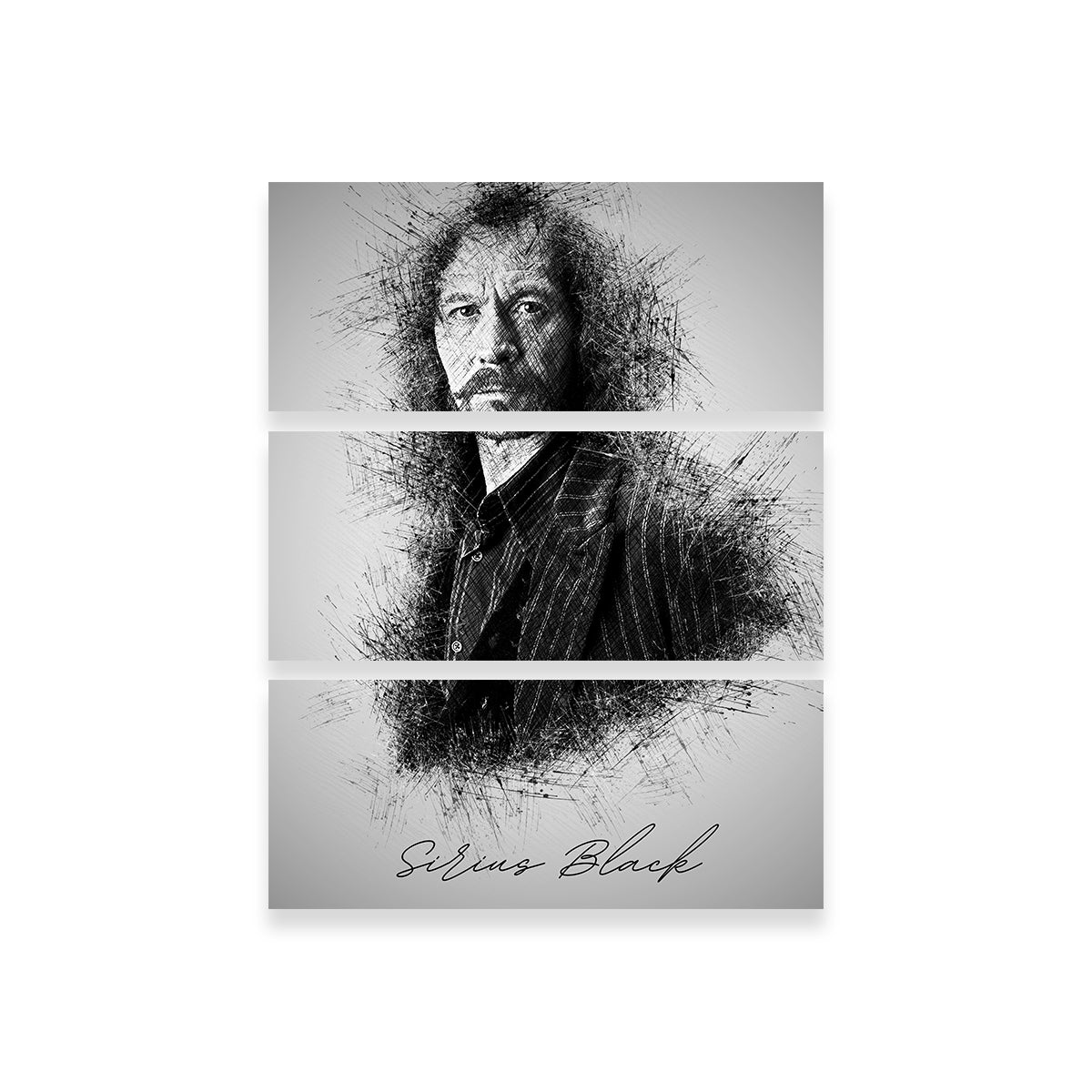 Stunning Sirius Black Wall Art - High - Quality Decor for Your Space