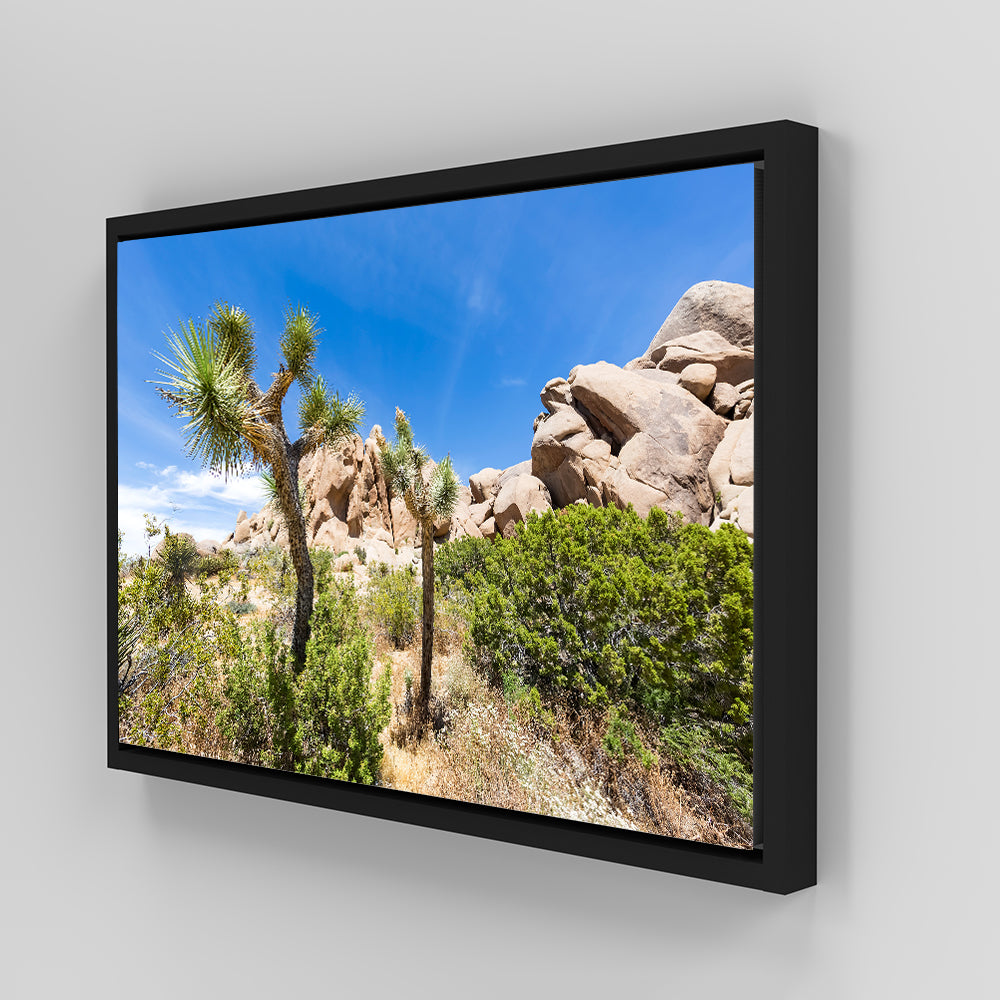 Stunning Impression from Joshua Tree National Park Wall Art for Your Home Decor