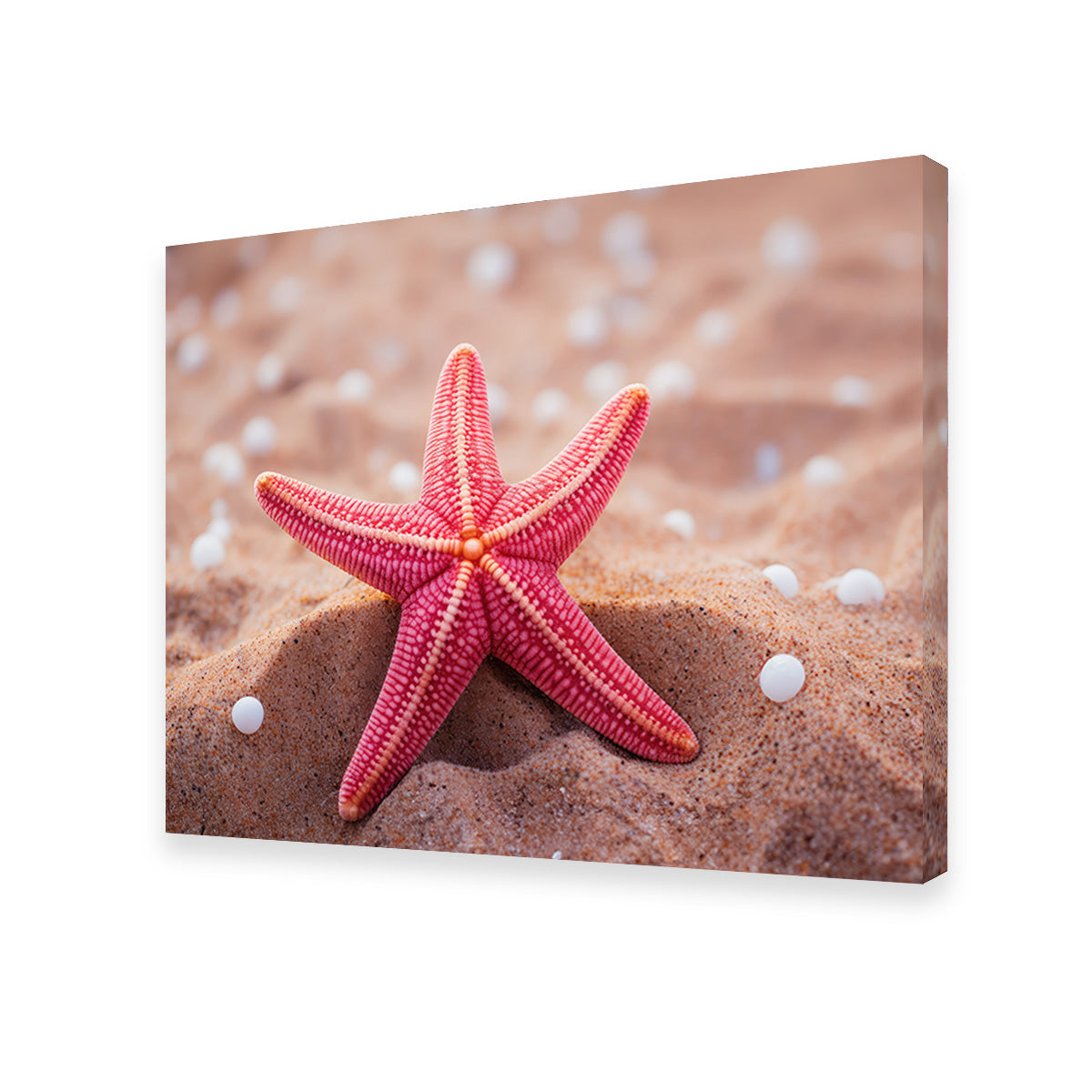 Gorgeous Pink Star Fish Canvas Print