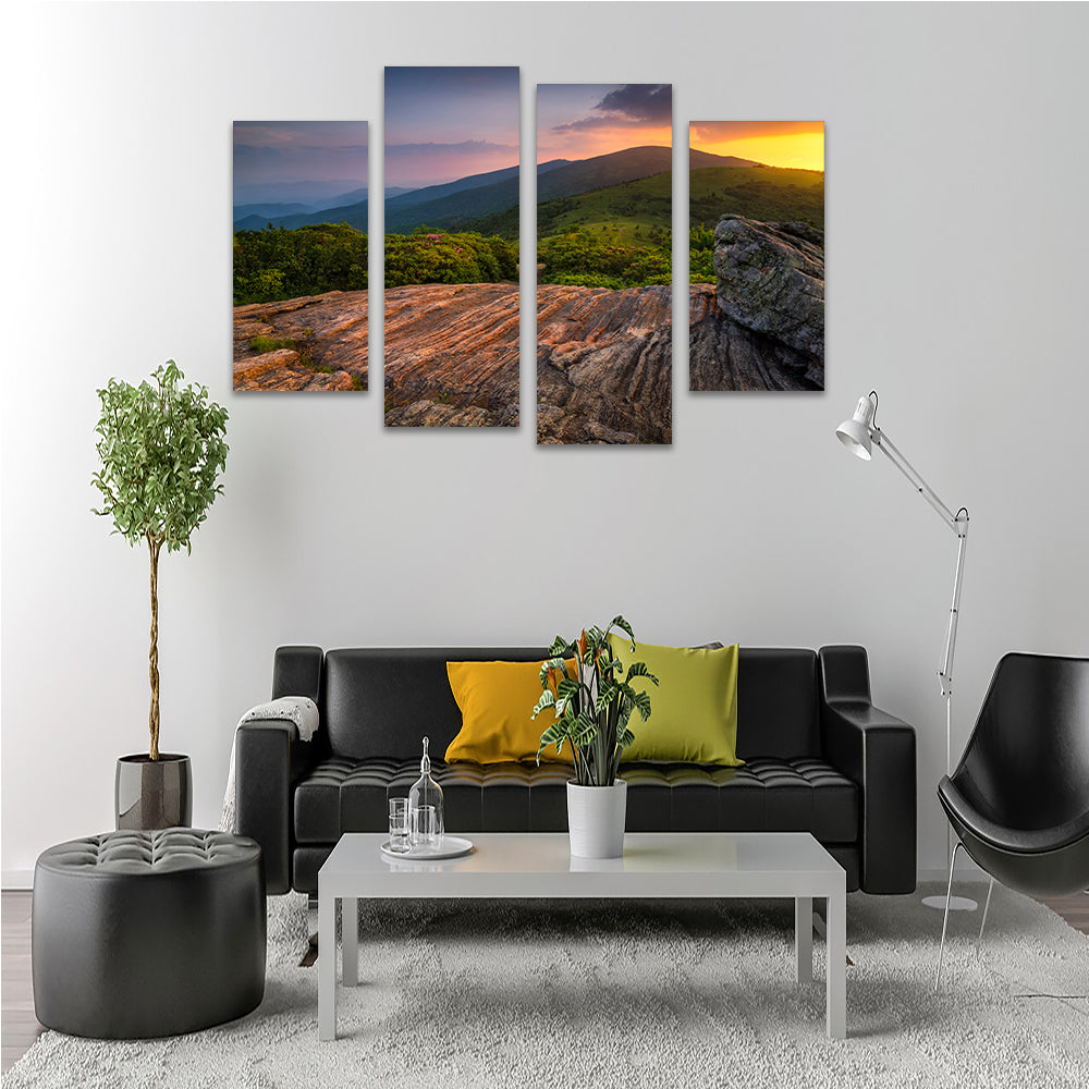 Stunning Appalachian Trail Roan Mountain State Park Wall Art for Your Home Decor