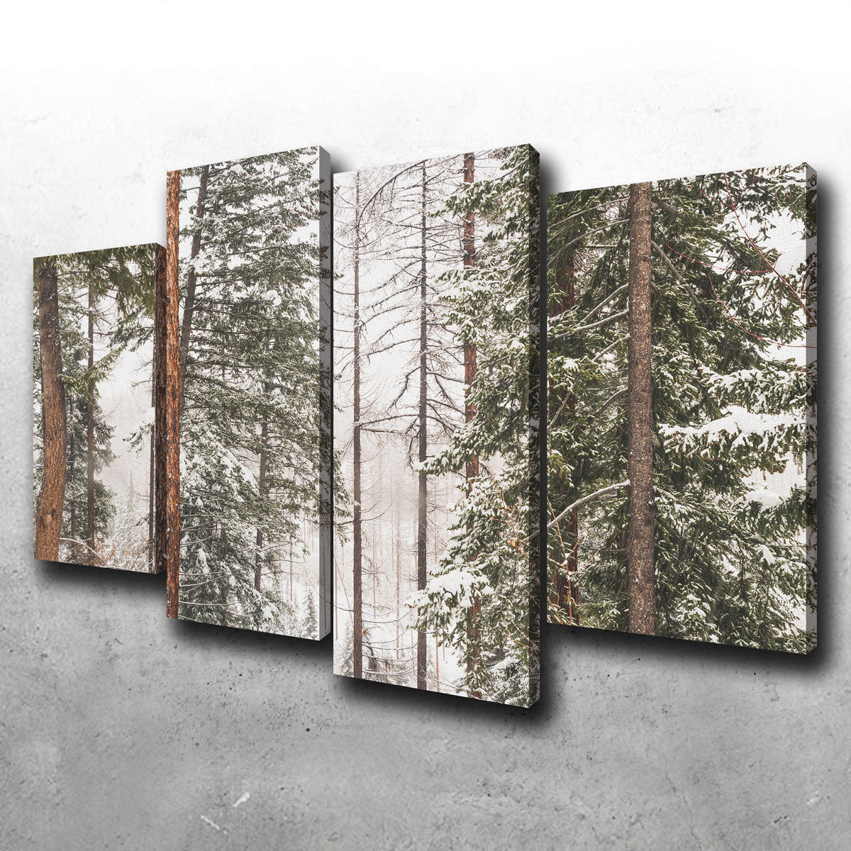Stunning Snow in Lois Creek Wall Art by Mike Cotton
