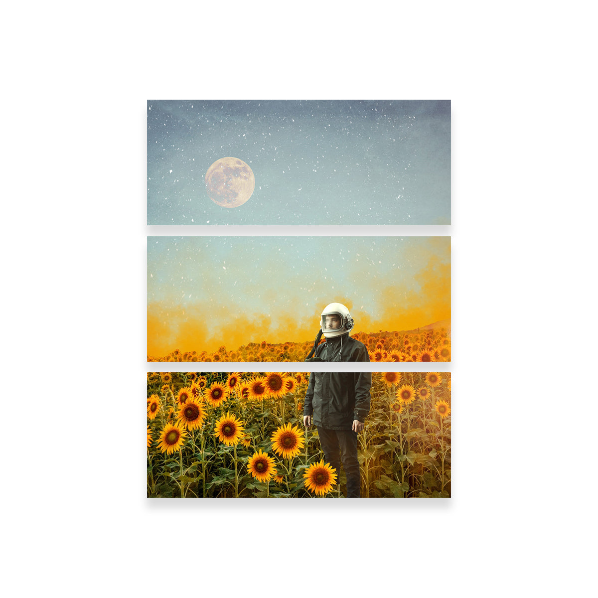 Astro Garden Wall Art by RAPart - Premium Kiln - Dried Pine Wood Framed Canvas