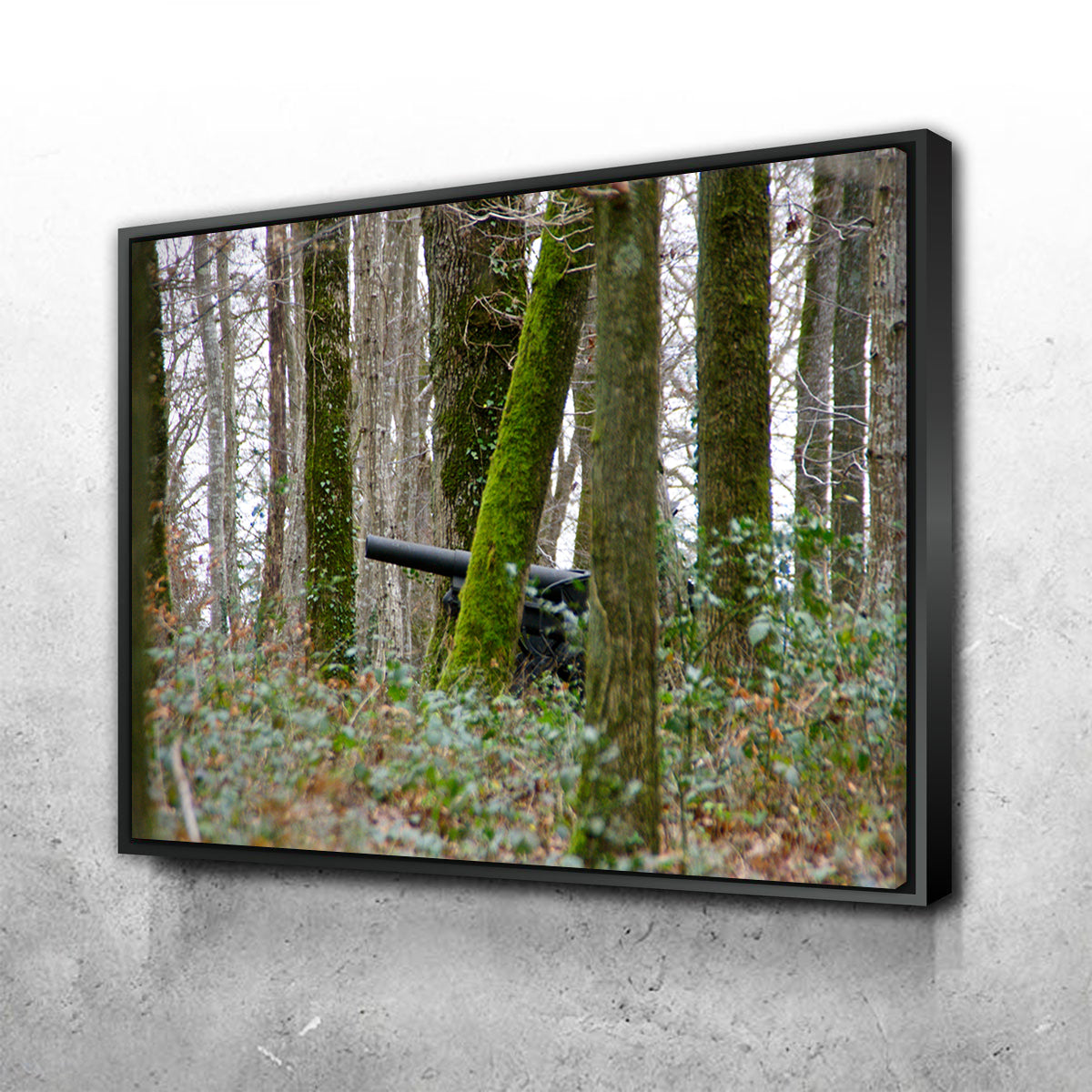 Exquisite Belleau Wood Wall Art by David Campbell