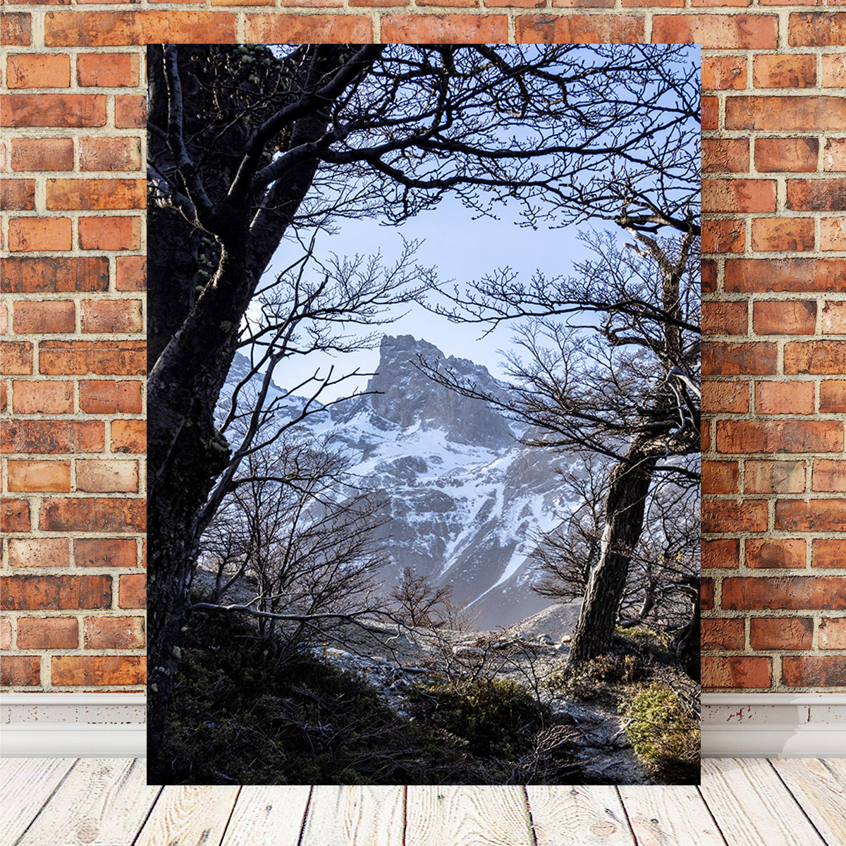 Exquisite Portal to Patagonia Canvas Print by Sofia Leite Fonseca