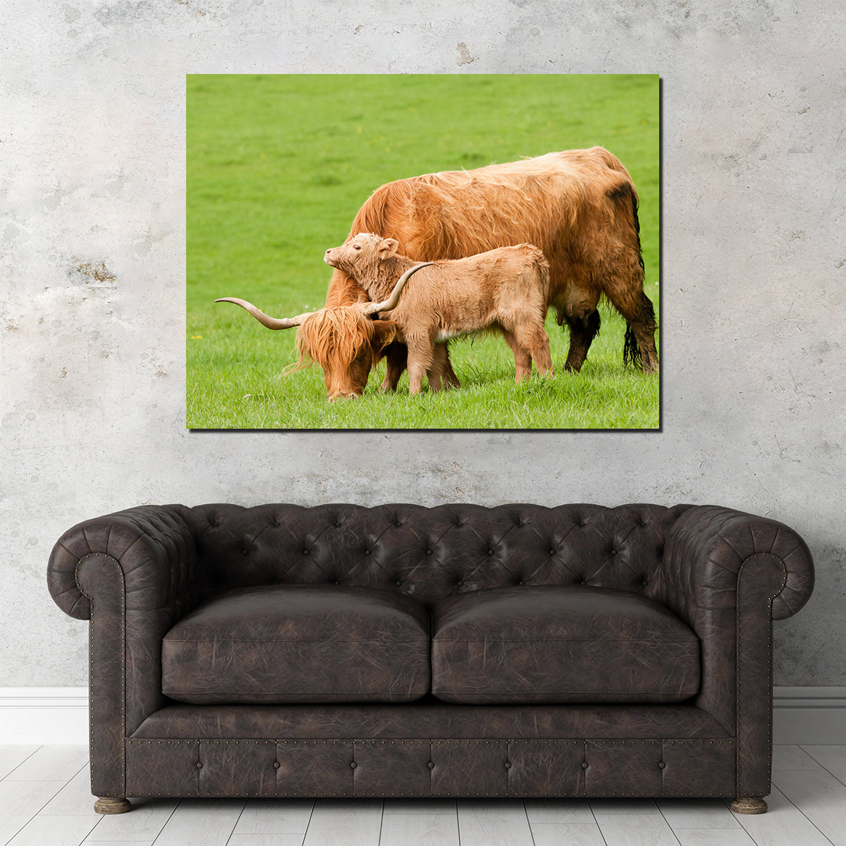 Charming Highland Cow with Adorable Loving Calf Wall Art for Stunning Home Decor