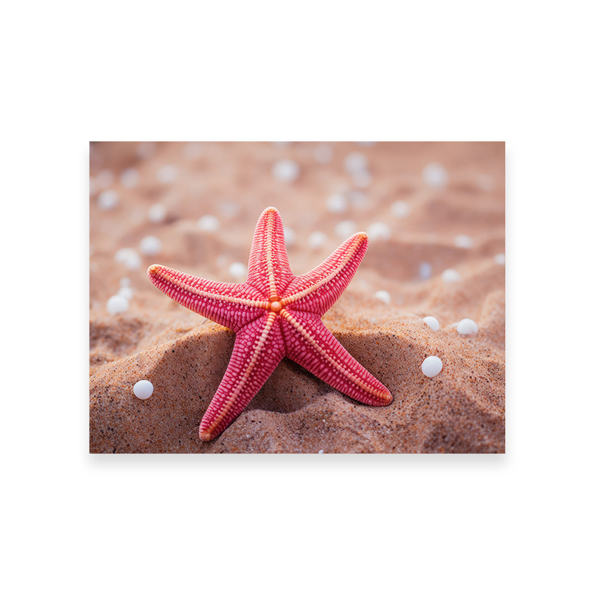 Gorgeous Pink Star Fish Canvas Print