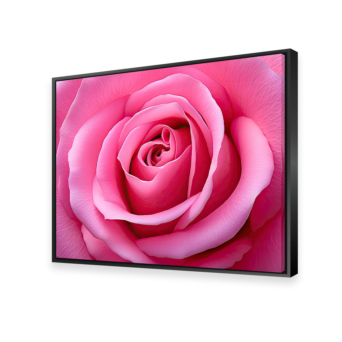 Gorgeous Pink Rose Canvas Print